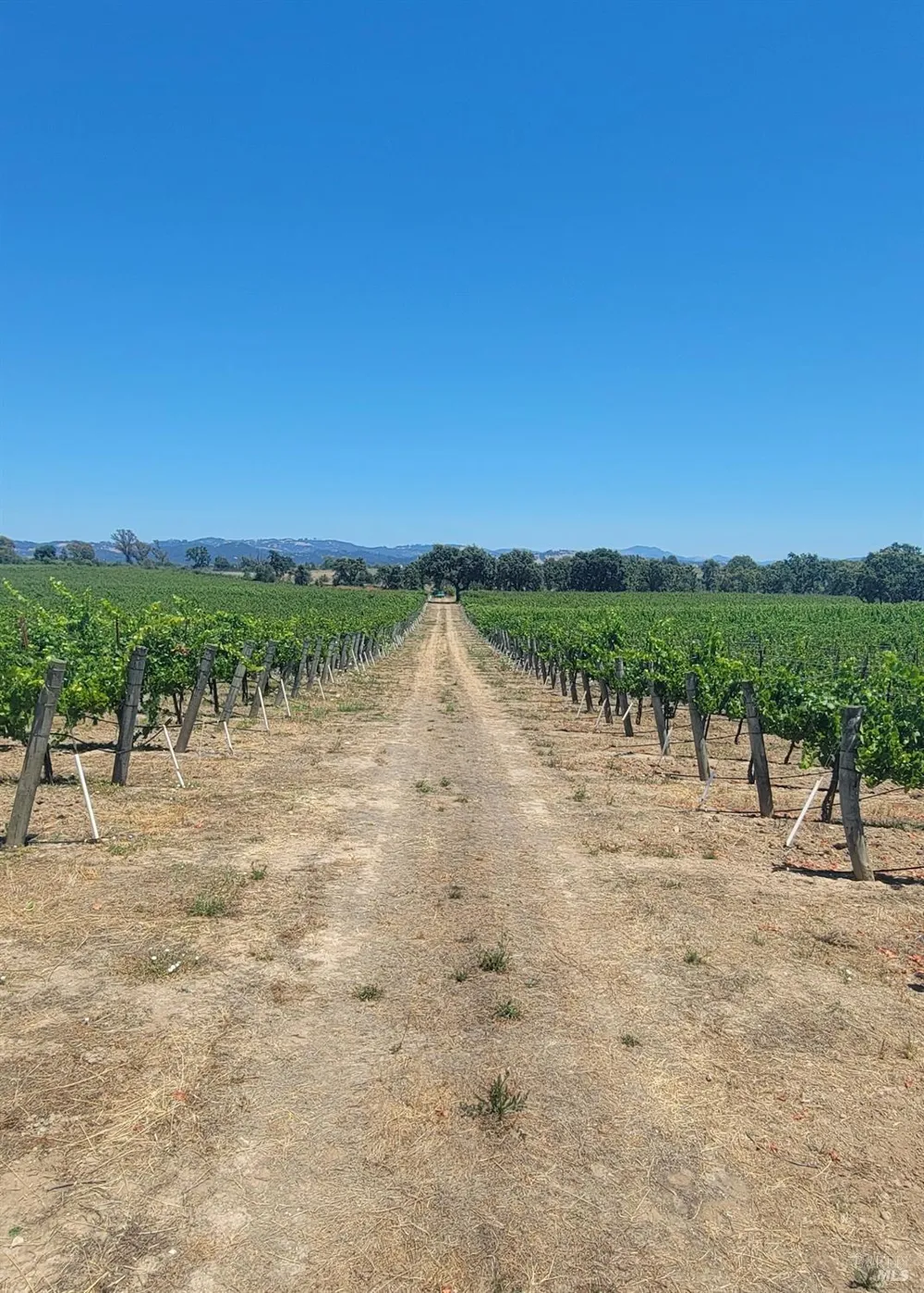 2892 Mark West Station Road Windsor, CA 95492
