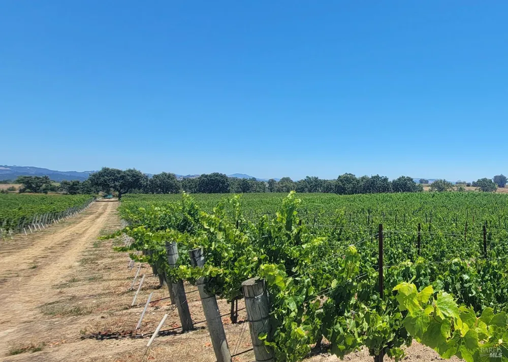 2892 Mark West Station Road Windsor, CA 95492