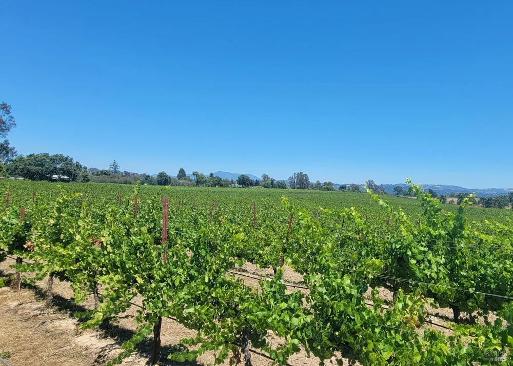 2892 Mark West Station Road Windsor, CA 95492