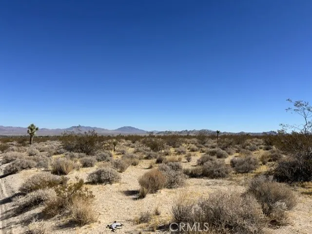 Visalia Lucerne Valley, CA 92356