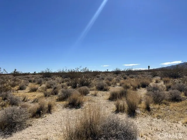 Visalia Lucerne Valley, CA 92356