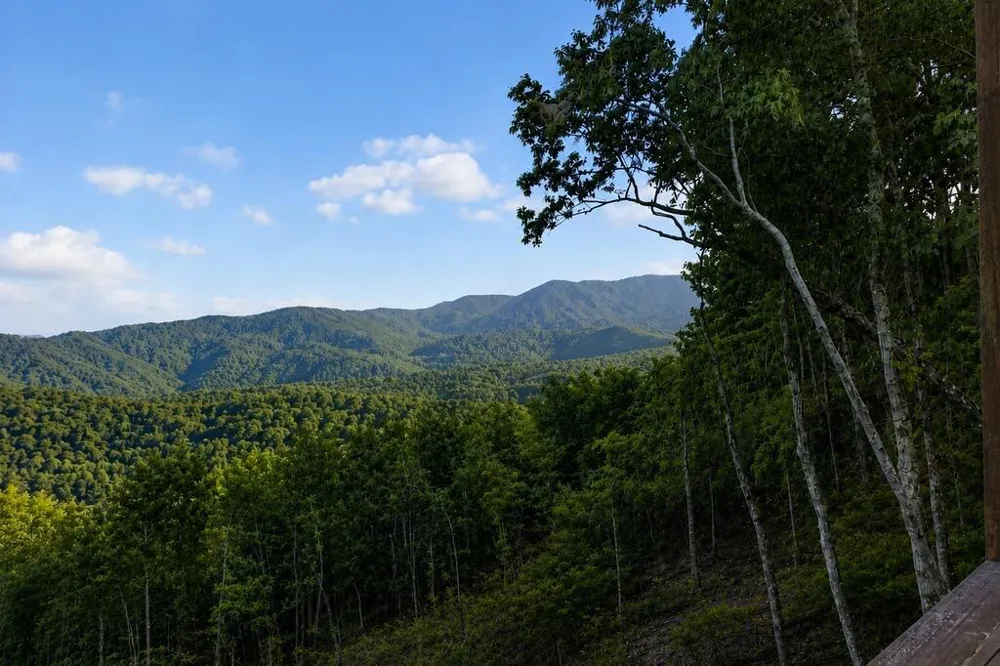 193 7 Figure Ridge Blue Ridge, GA 30513