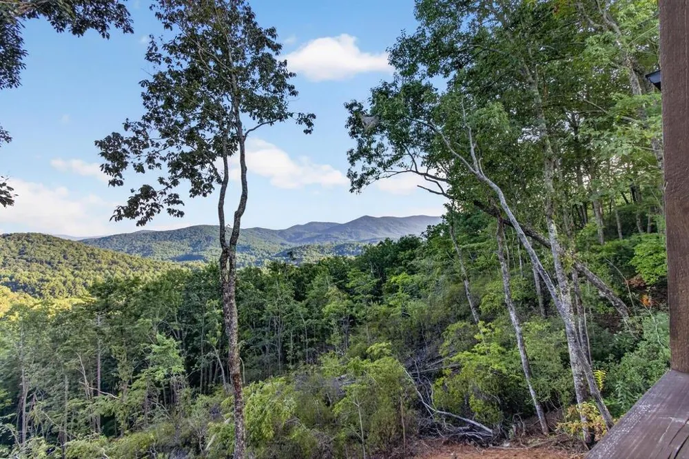 193 7 Figure Ridge Blue Ridge, GA 30513
