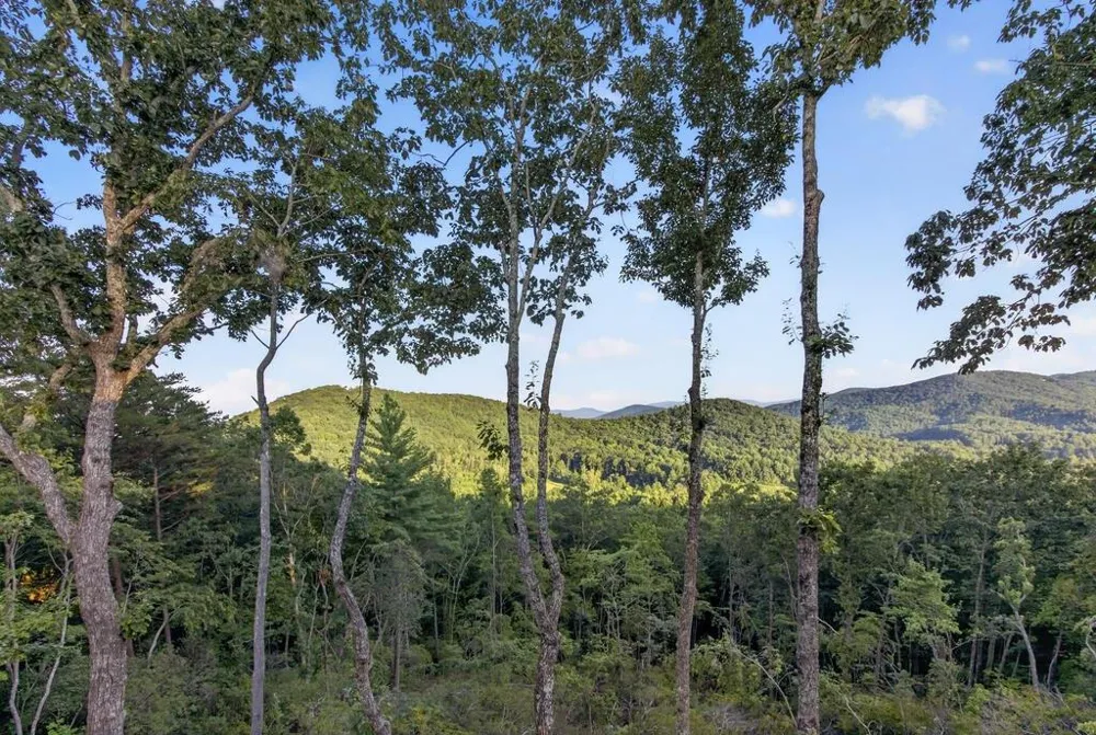 193 7 Figure Ridge Blue Ridge, GA 30513
