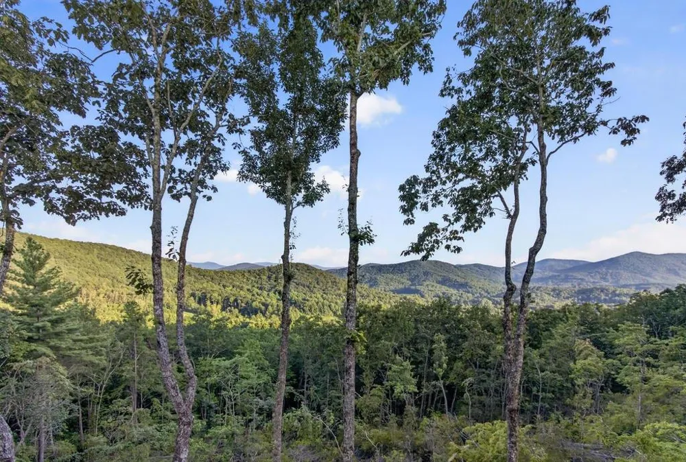 193 7 Figure Ridge Blue Ridge, GA 30513