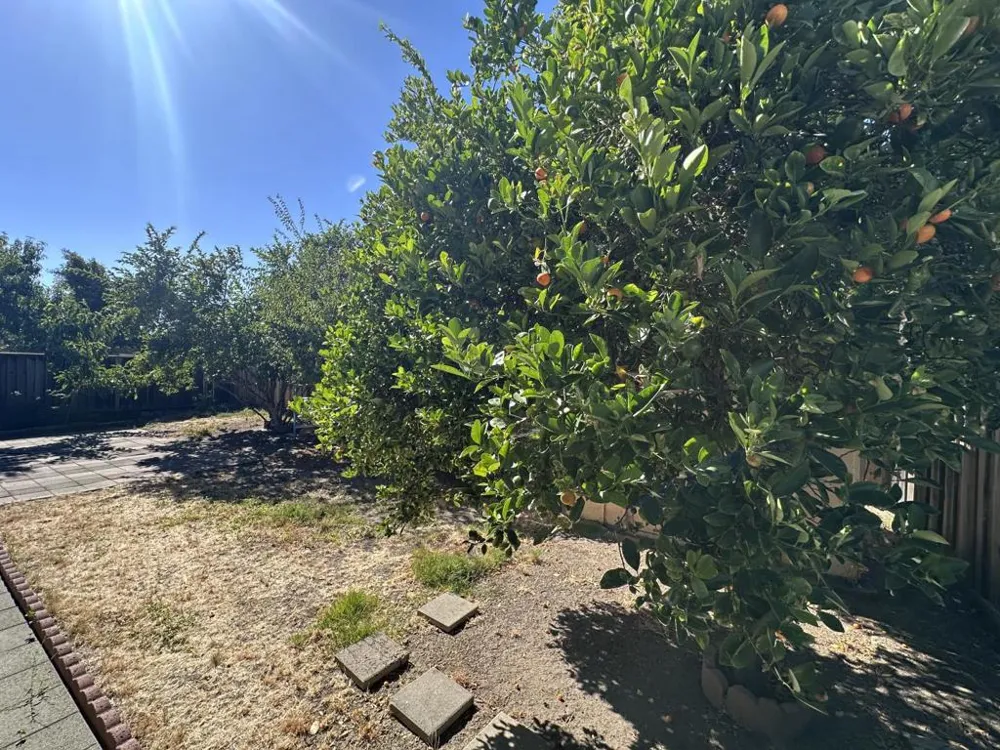 2483 Ocala Avenue San Jose, CA 95122