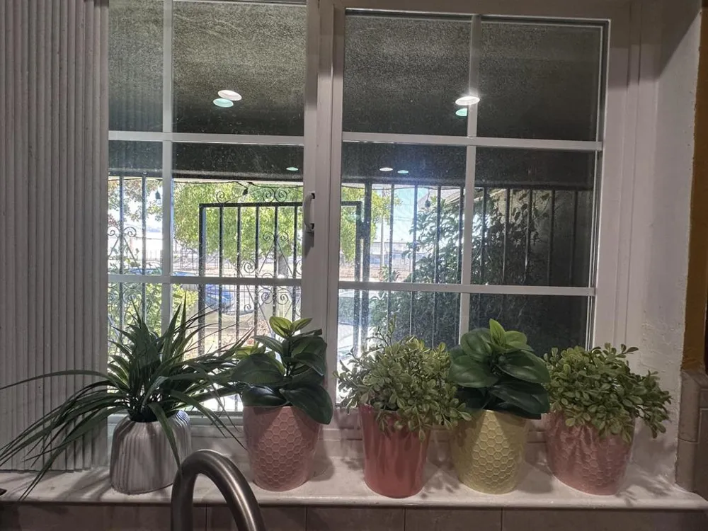 2483 Ocala Avenue San Jose, CA 95122
