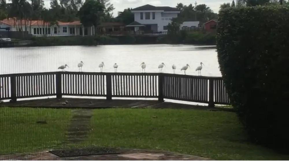 2390 NE 199th Street Aventura, FL 33180