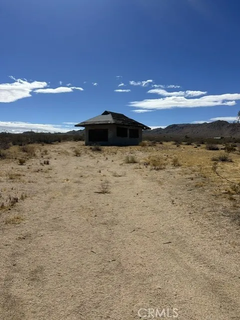 Joshua Tree Johnson Valley, CA 92285