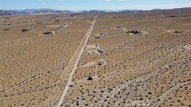 Joshua Tree Johnson Valley, CA 92285
