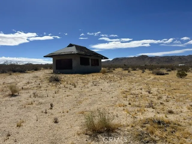 Joshua Tree Johnson Valley, CA 92285