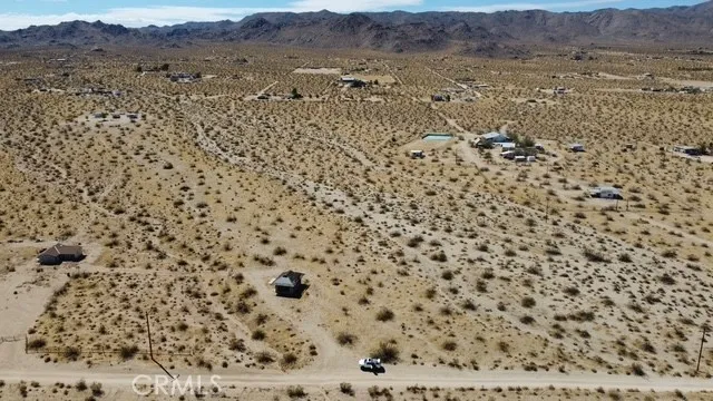 Joshua Tree Johnson Valley, CA 92285