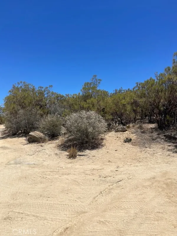 Ramsey Anza, CA 92539