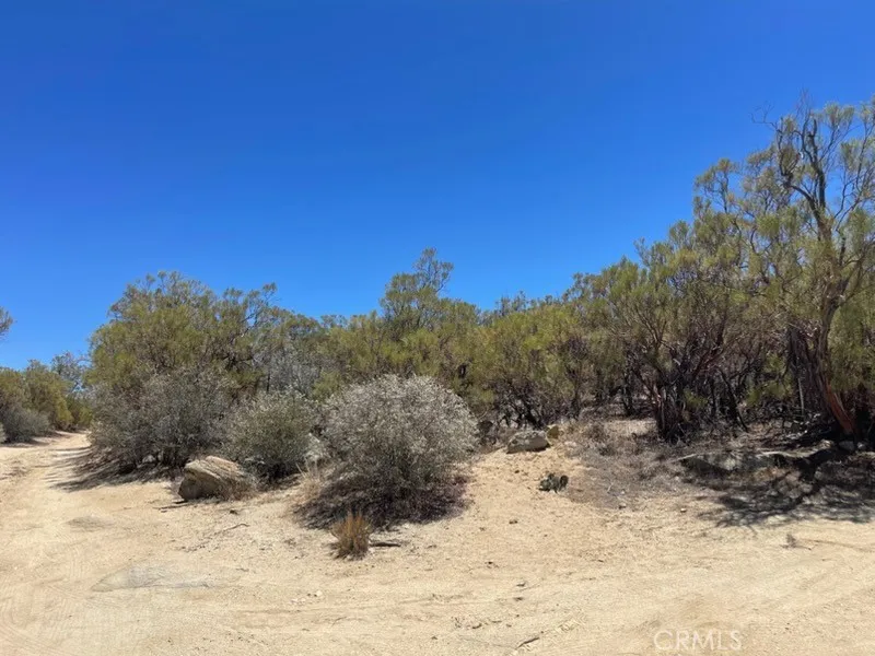 Ramsey Anza, CA 92539