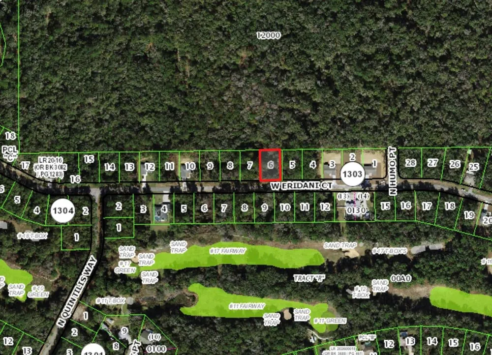 253 W ERIDANI COURT Citrus Springs, FL 34434
