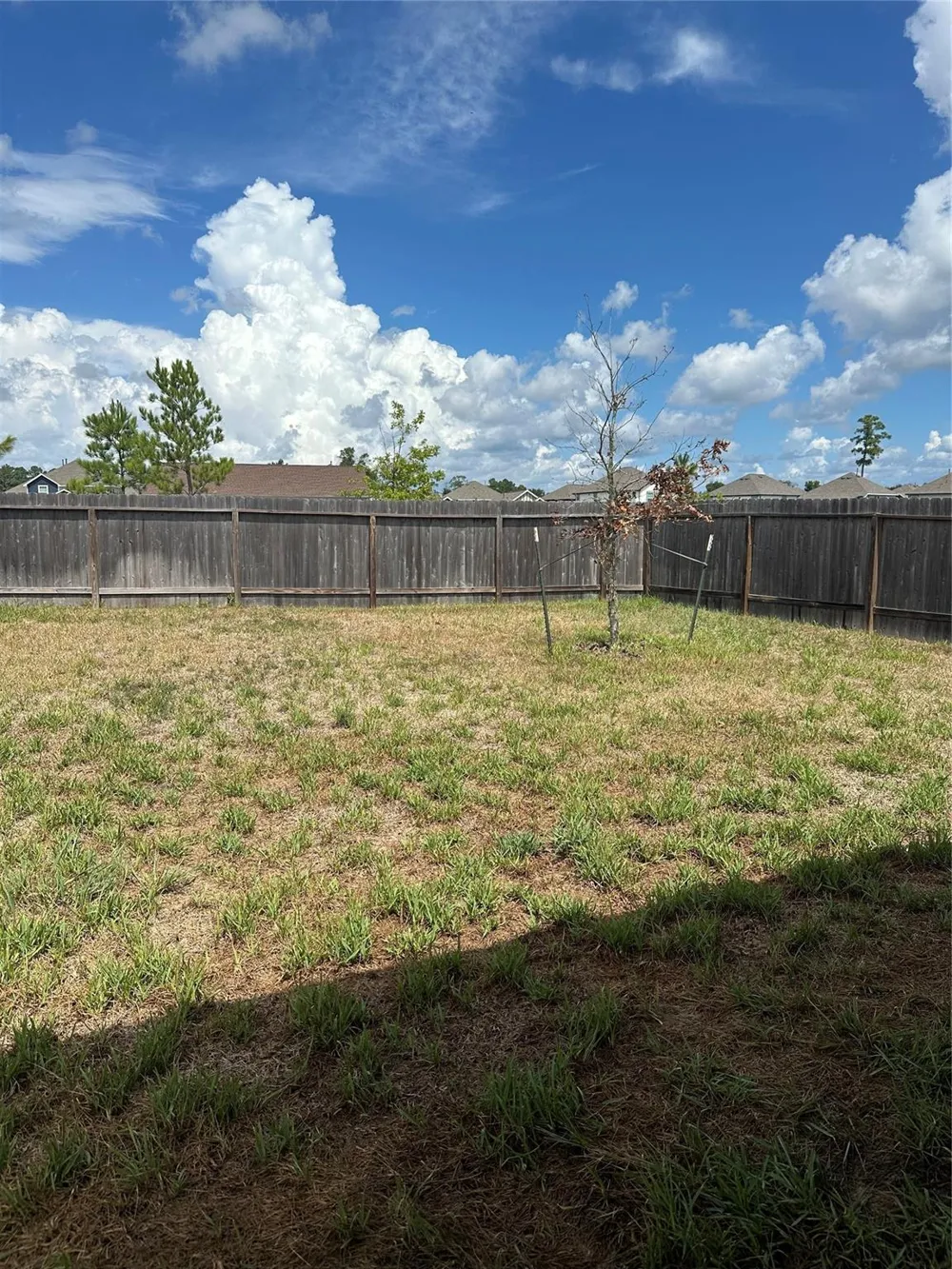 2321 Mount Locke Path Conroe, TX 77301