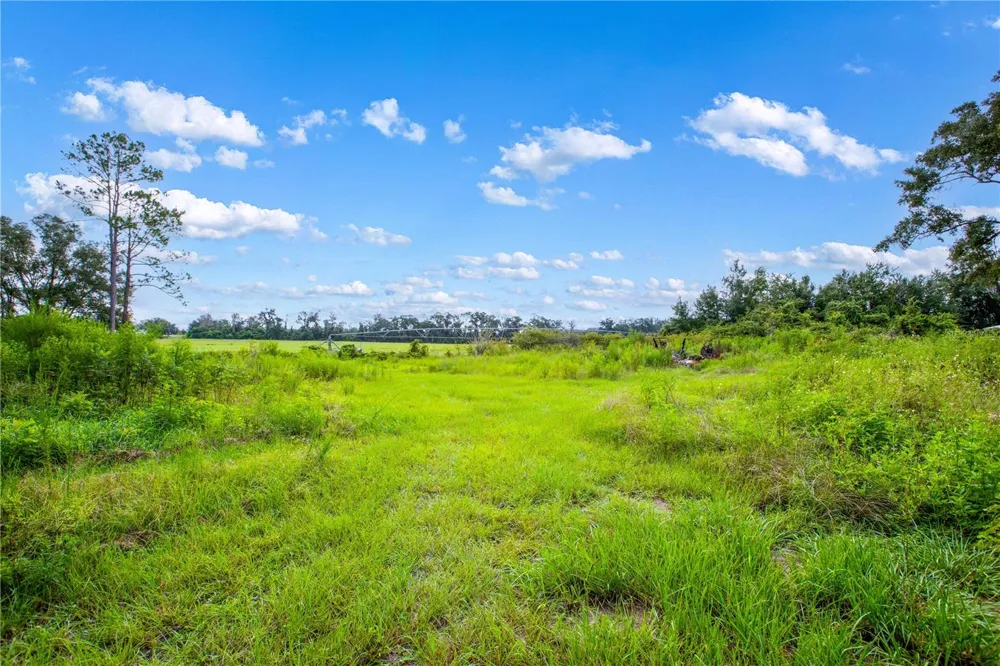 243 SW REIGEL COURT Lake City, FL 32024