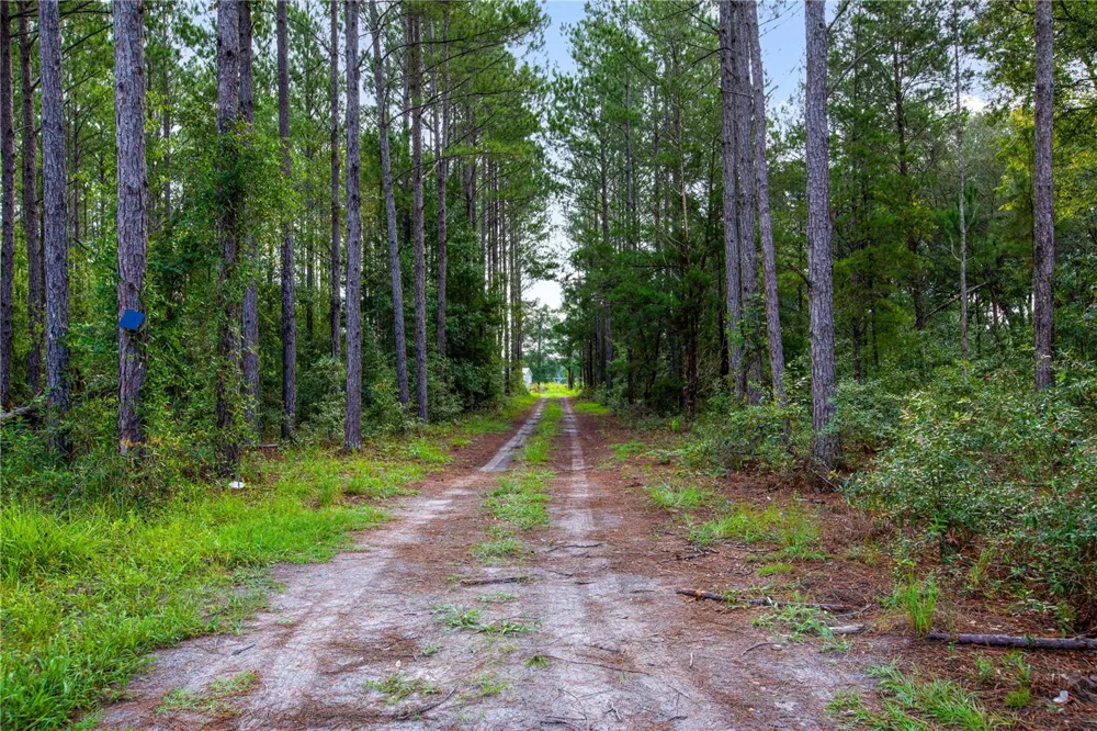 243 SW REIGEL COURT Lake City, FL 32024
