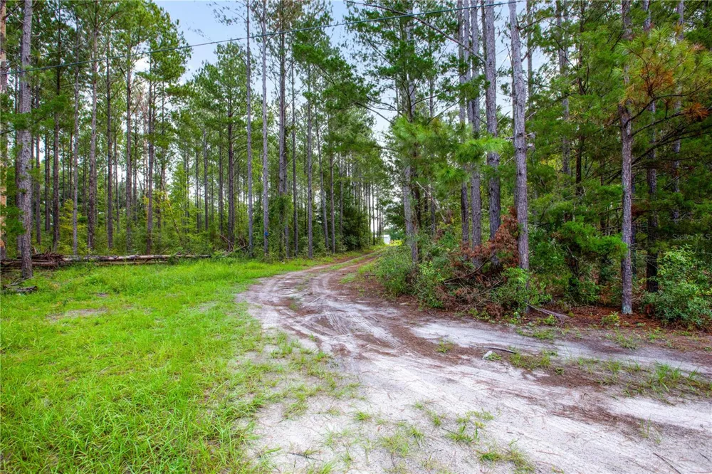 243 SW REIGEL COURT Lake City, FL 32024
