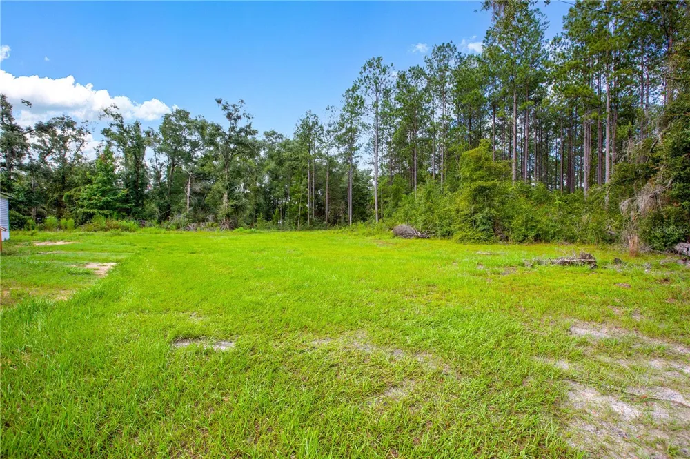 243 SW REIGEL COURT Lake City, FL 32024