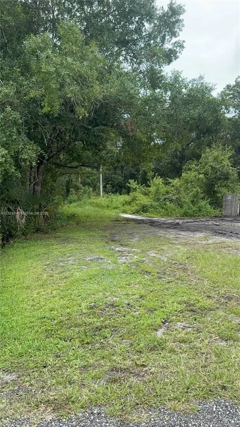 1345 Sable Palm