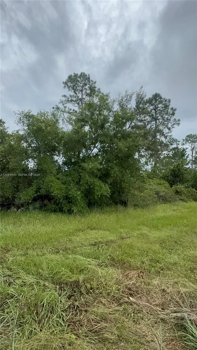 1345 Sable Palm Other City - In The State Of Florida, FL 32709