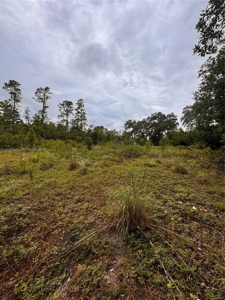 1345 Sable Palm Other City - In The State Of Florida, FL 32709