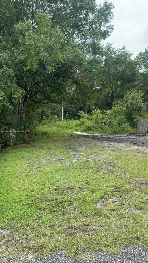 1219 Sable Palm