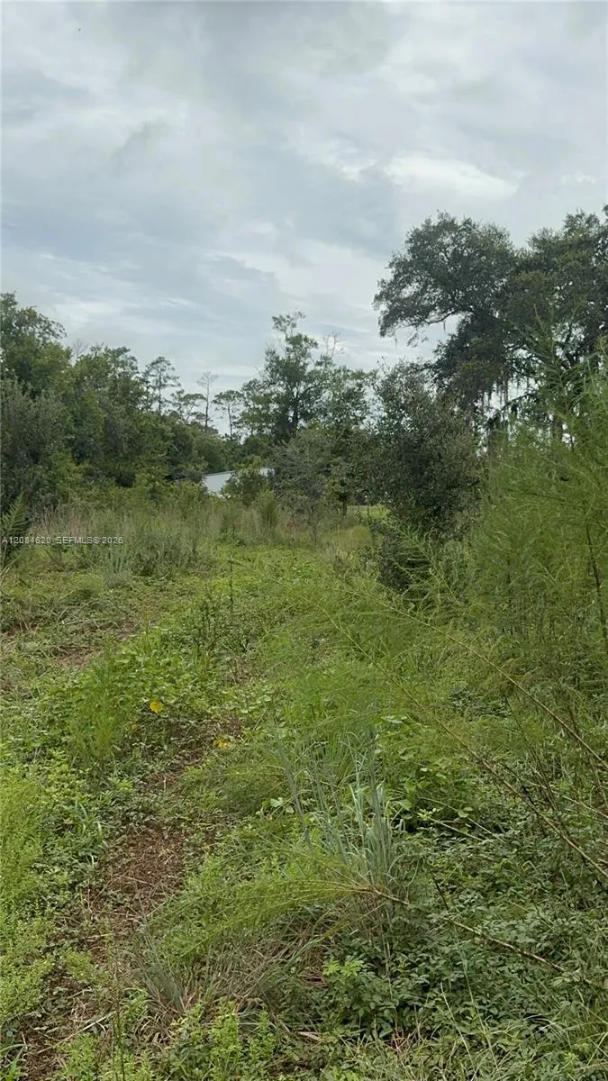 1219 Sable Palm Other City - In The State Of Florida, FL 32709