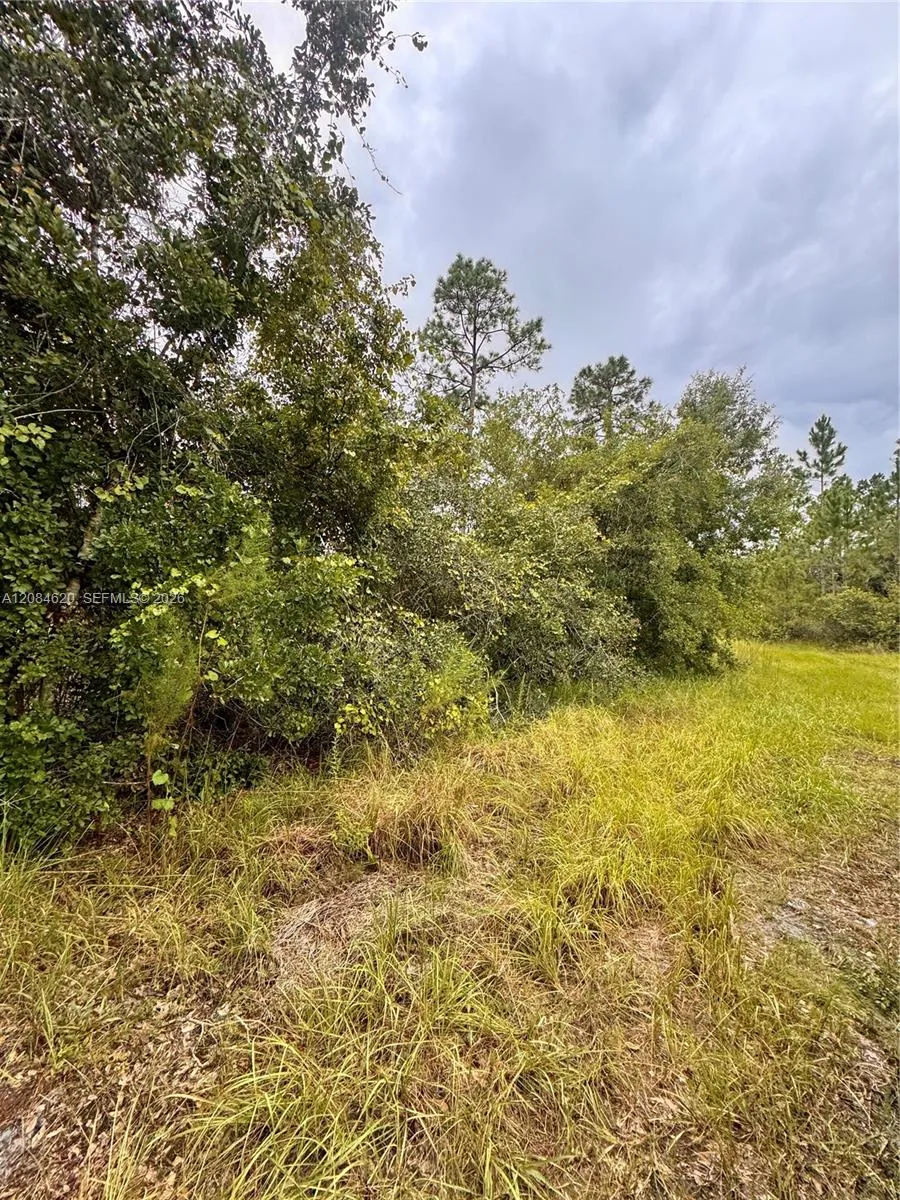 1219 Sable Palm Other City - In The State Of Florida, FL 32709