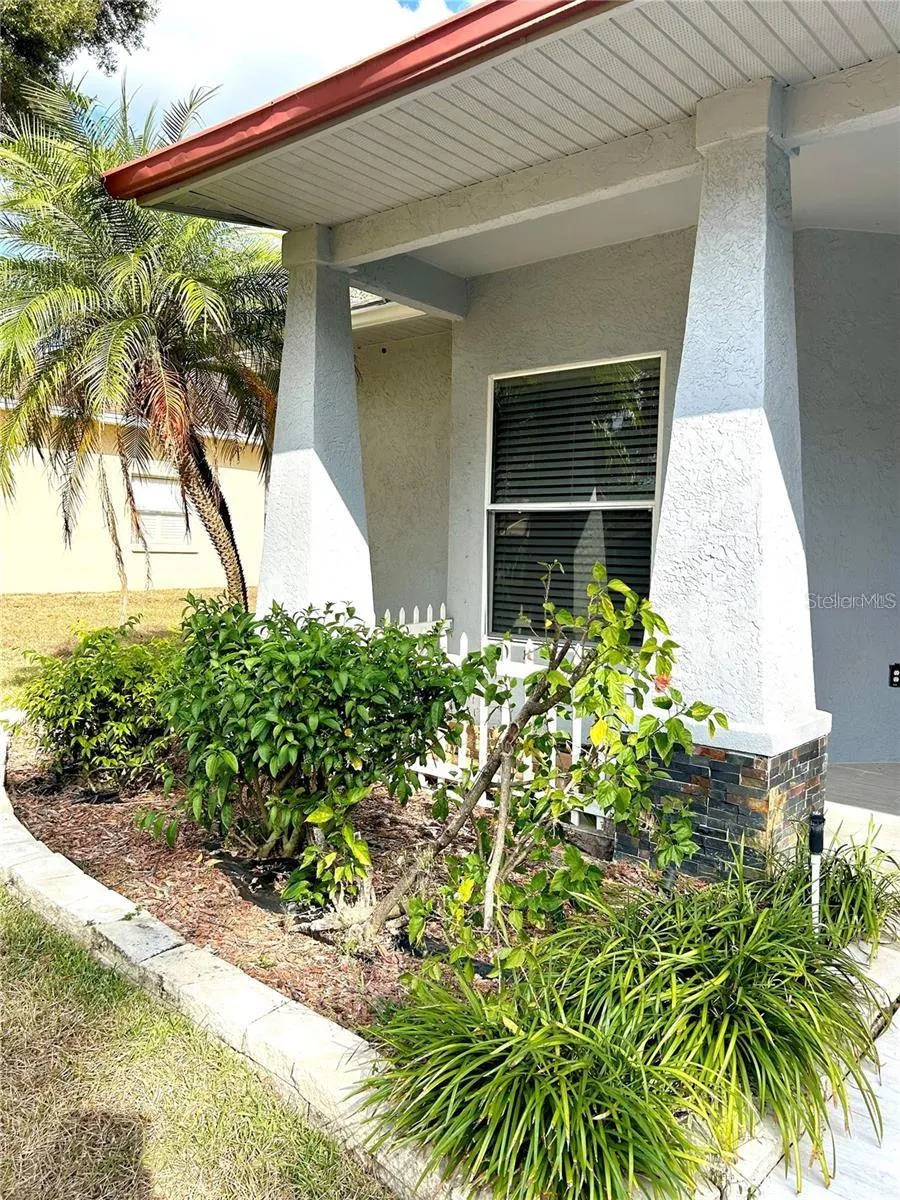 12221 ANNE KENIA DRIVE Thonotosassa, FL 33592