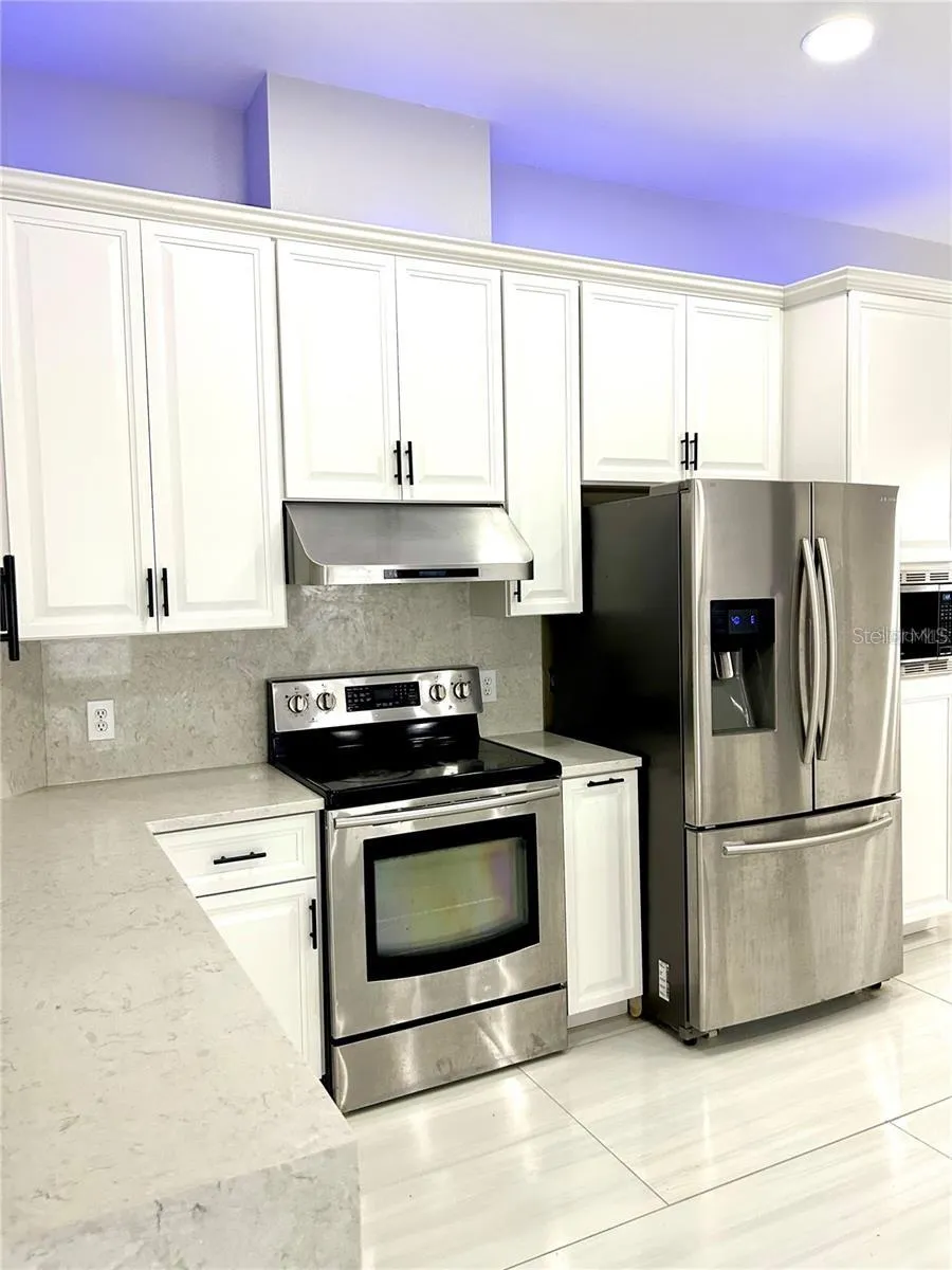 12221 ANNE KENIA DRIVE Thonotosassa, FL 33592