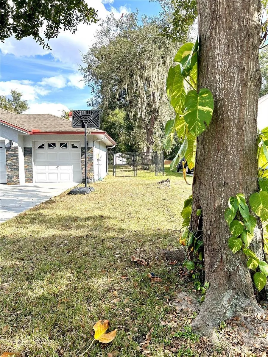 12221 ANNE KENIA DRIVE Thonotosassa, FL 33592