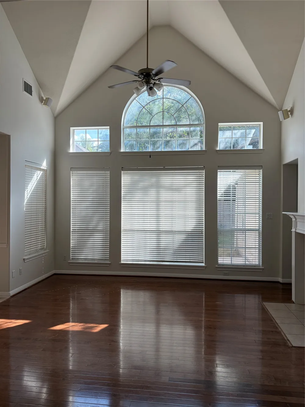 2412 Arbor Drive Round Rock, TX 78681