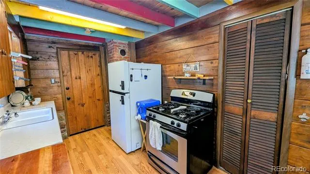 103 Forest Haven Lane Idaho Springs, CO 80452
