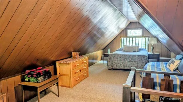 103 Forest Haven Lane Idaho Springs, CO 80452