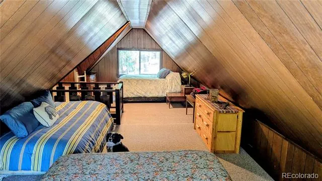103 Forest Haven Lane Idaho Springs, CO 80452