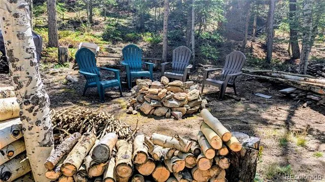 103 Forest Haven Lane Idaho Springs, CO 80452