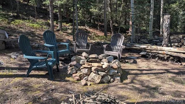 103 Forest Haven Lane Idaho Springs, CO 80452
