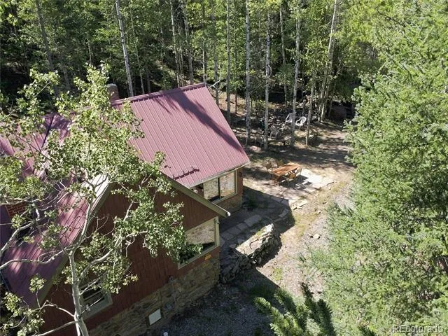 103 Forest Haven Lane Idaho Springs, CO 80452