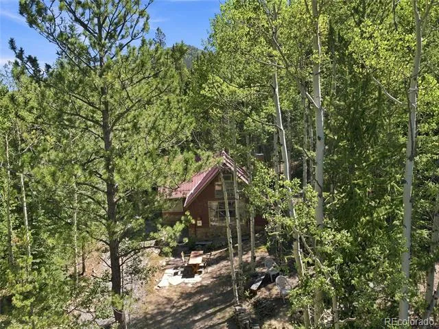 103 Forest Haven Lane Idaho Springs, CO 80452