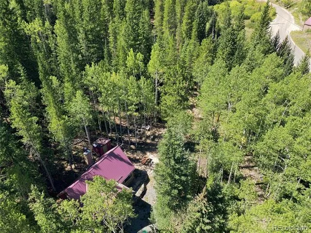 103 Forest Haven Lane Idaho Springs, CO 80452