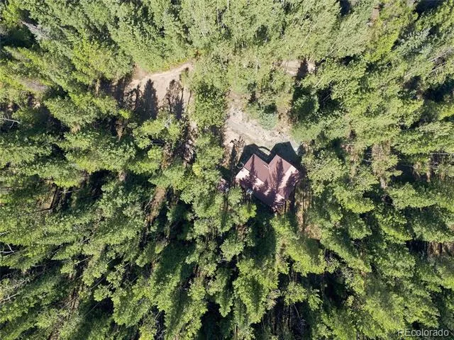 103 Forest Haven Lane Idaho Springs, CO 80452