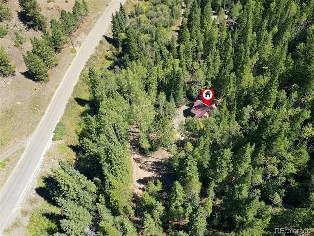 103 Forest Haven Lane Idaho Springs, CO 80452