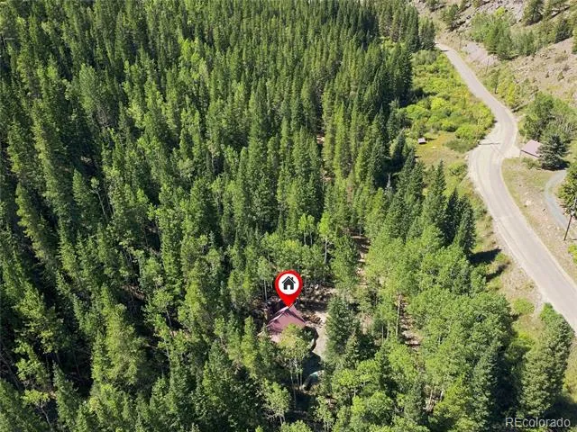 103 Forest Haven Lane Idaho Springs, CO 80452