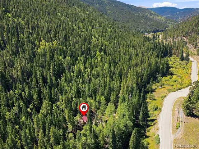 103 Forest Haven Lane Idaho Springs, CO 80452