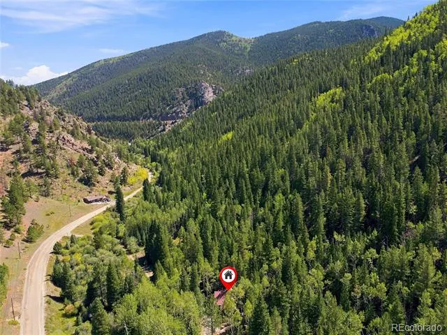 103 Forest Haven Lane Idaho Springs, CO 80452