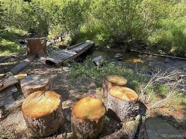 103 Forest Haven Lane Idaho Springs, CO 80452