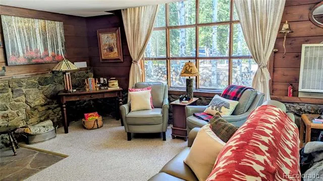 103 Forest Haven Lane Idaho Springs, CO 80452