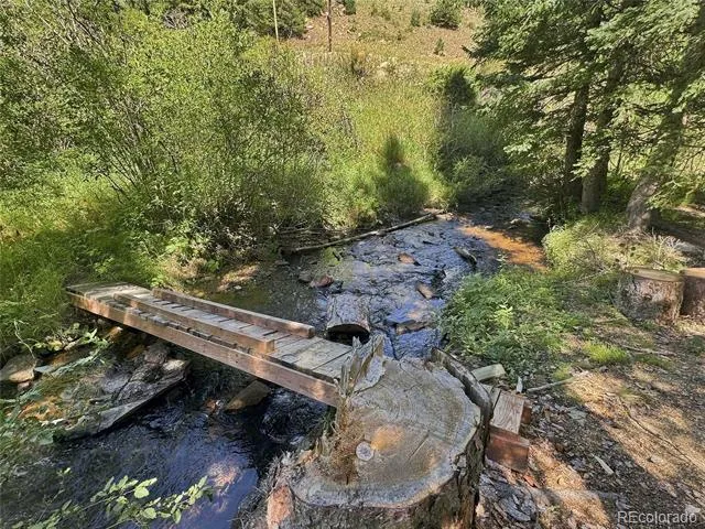 103 Forest Haven Lane Idaho Springs, CO 80452